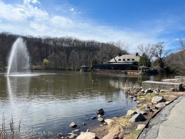 1000 Clove Road 10n, Staten Island, NY, 10301 image 29