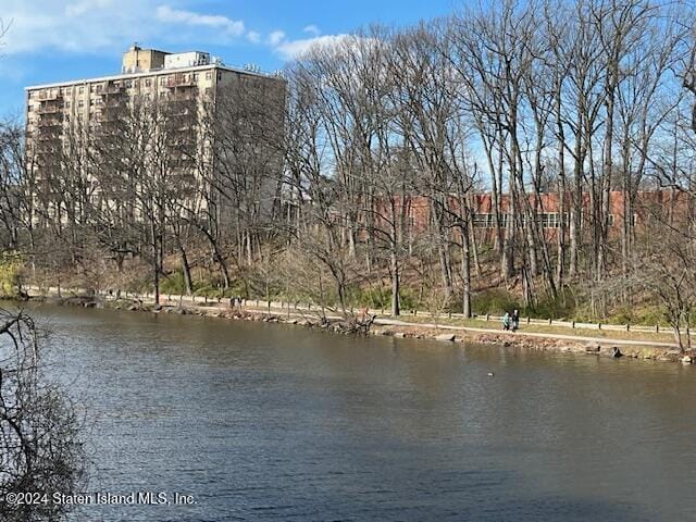 1000 Clove Road 10n, Staten Island, NY, 10301 image 30