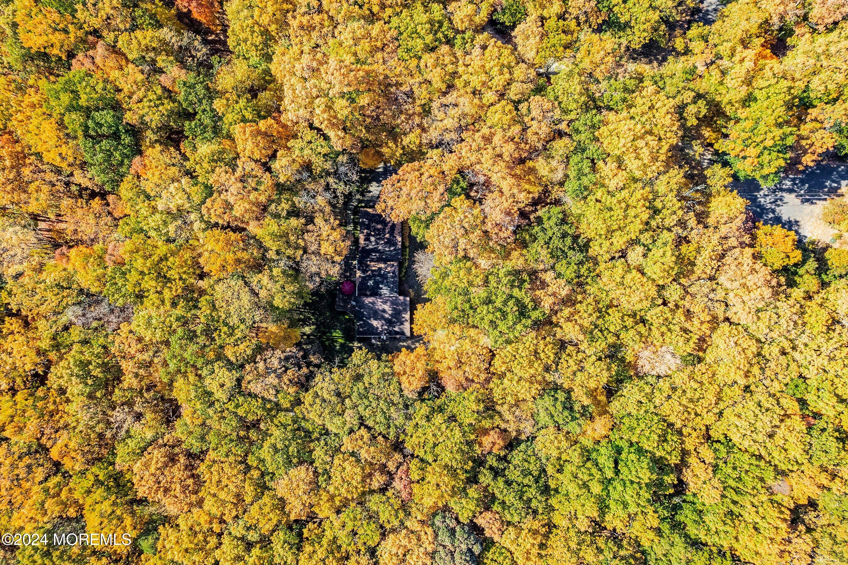 2 Filmore Drive, Millstone, NJ, 08510 image 24