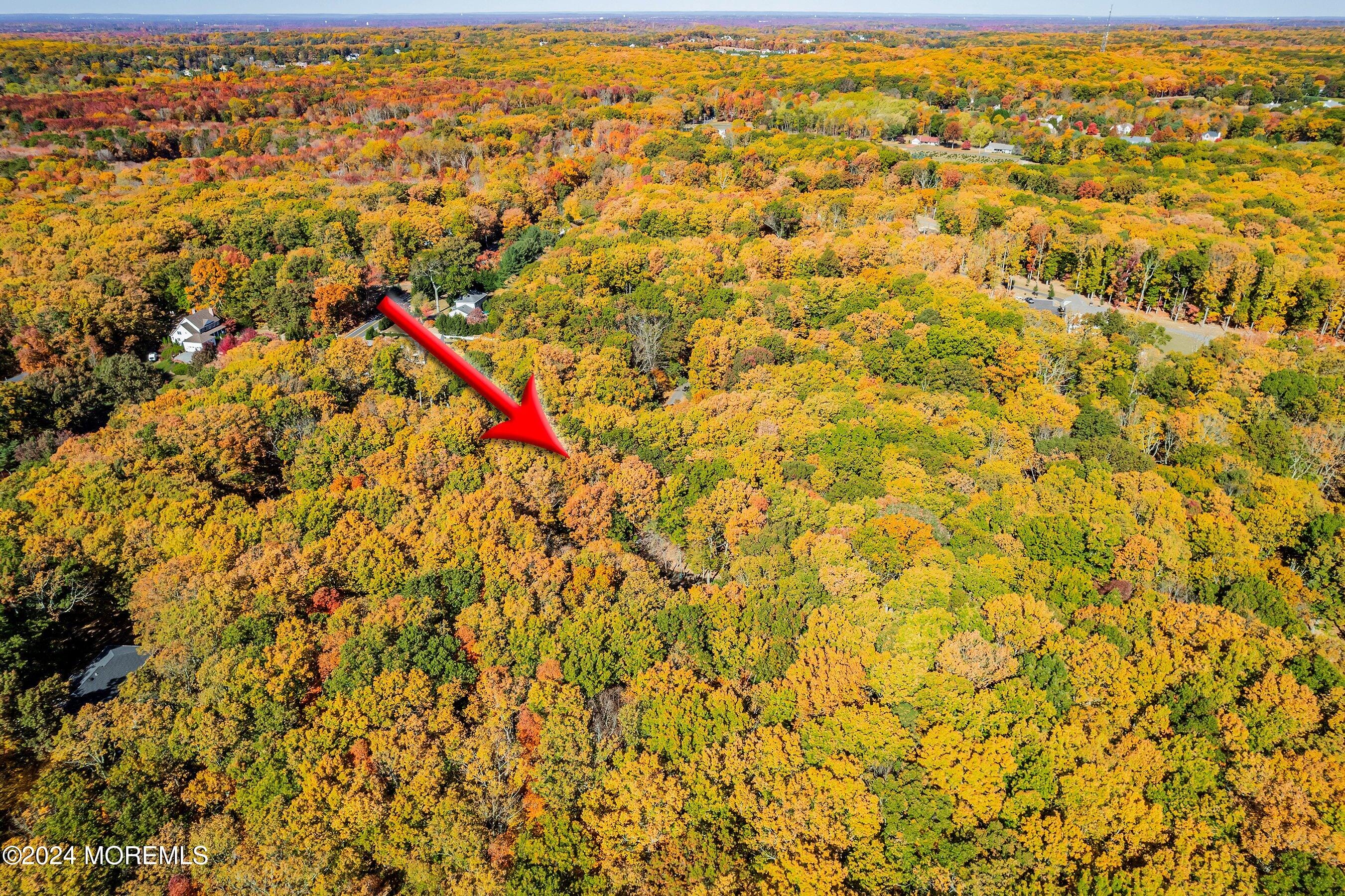 2 Filmore Drive, Millstone, NJ, 08510 image 28