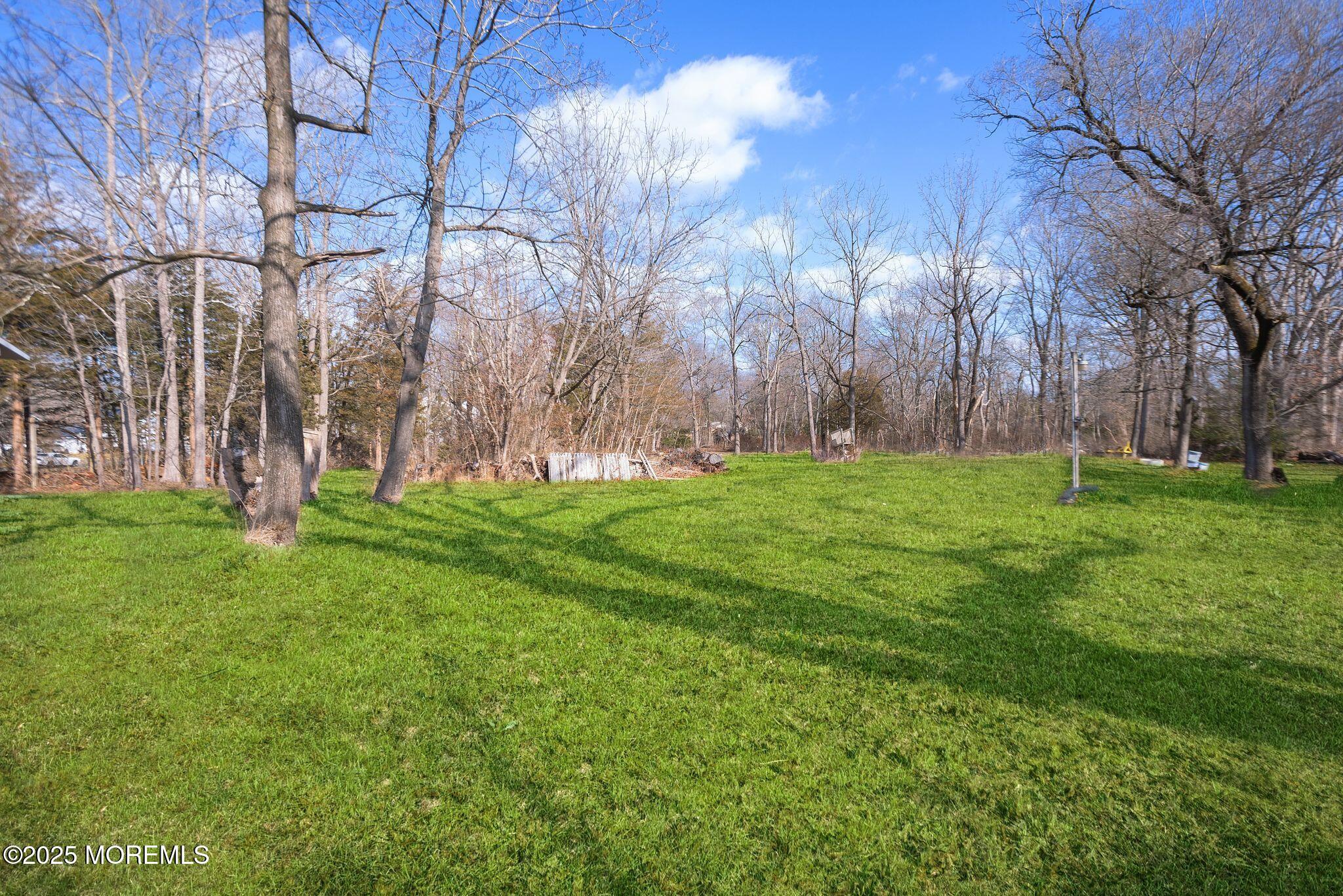51 Clayton Avenue Image 3