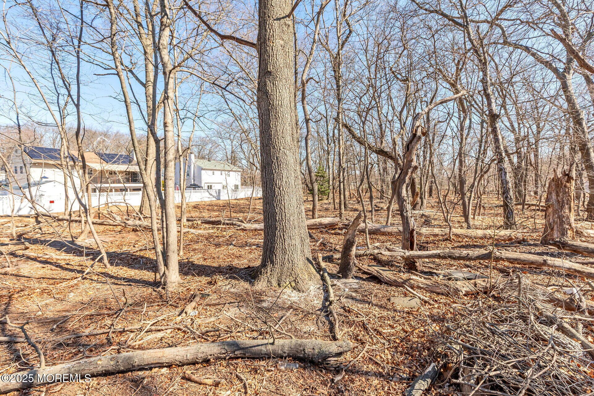 00 Bauer Avenue Image 4