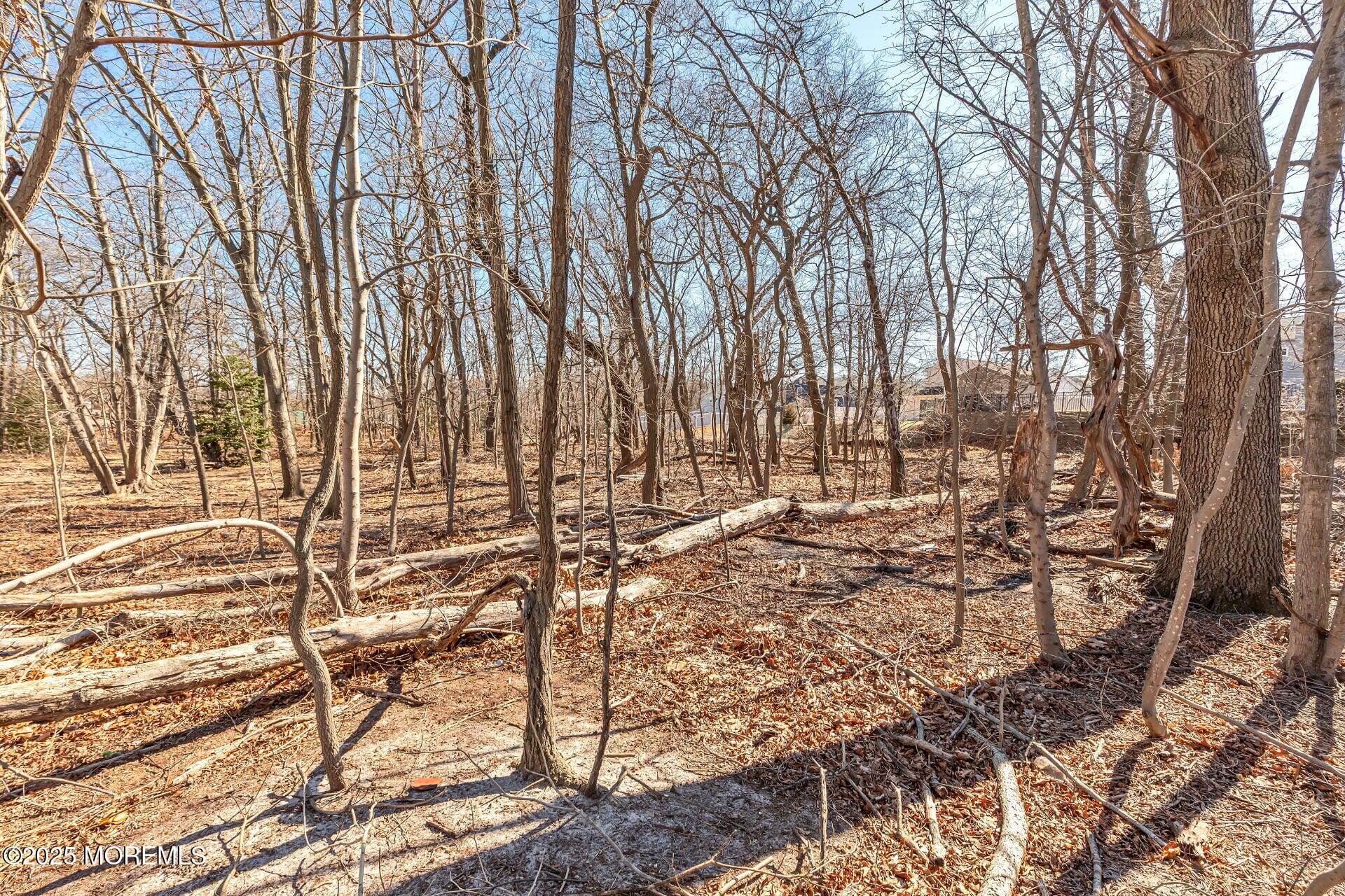 00 Bauer Avenue Image 5