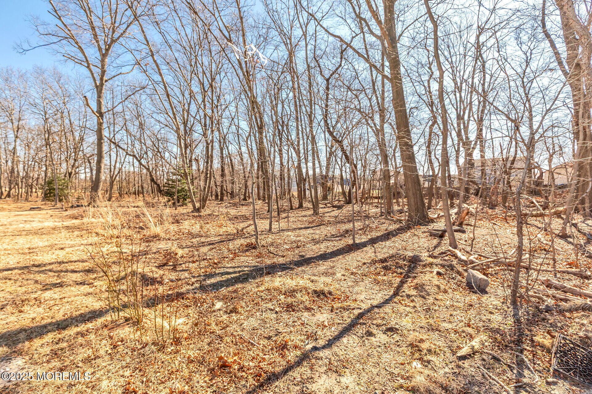 00 Bauer Avenue, Hazlet, NJ, 07730 image 6