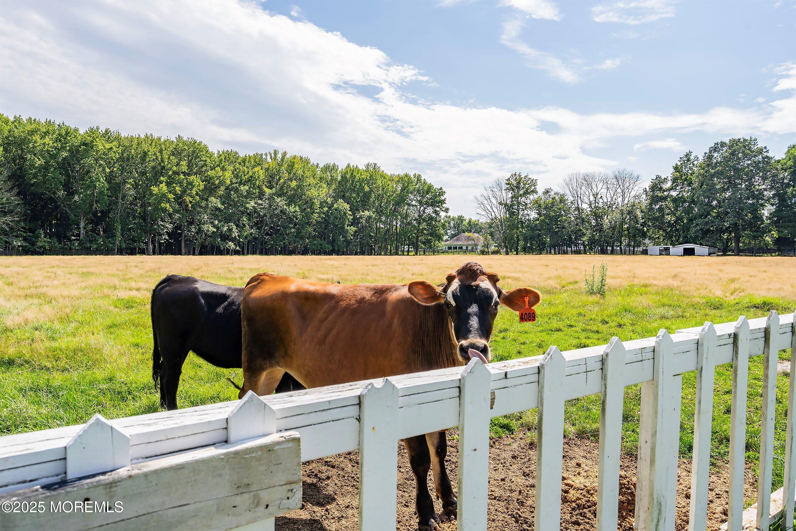 25 Water Street, Colts Neck, NJ, 07722 image 67