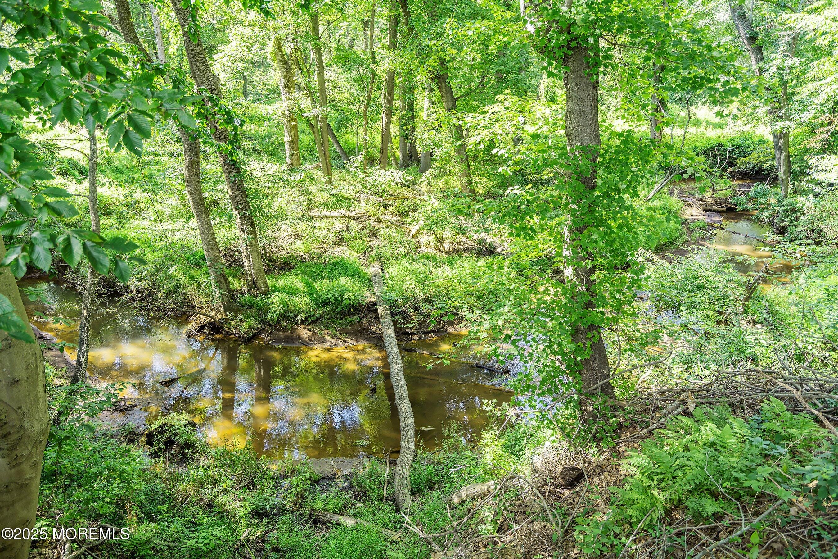 25 Water Street, Colts Neck, NJ, 07722 image 72