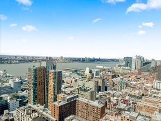 500 W 43 Street 21e Image 4