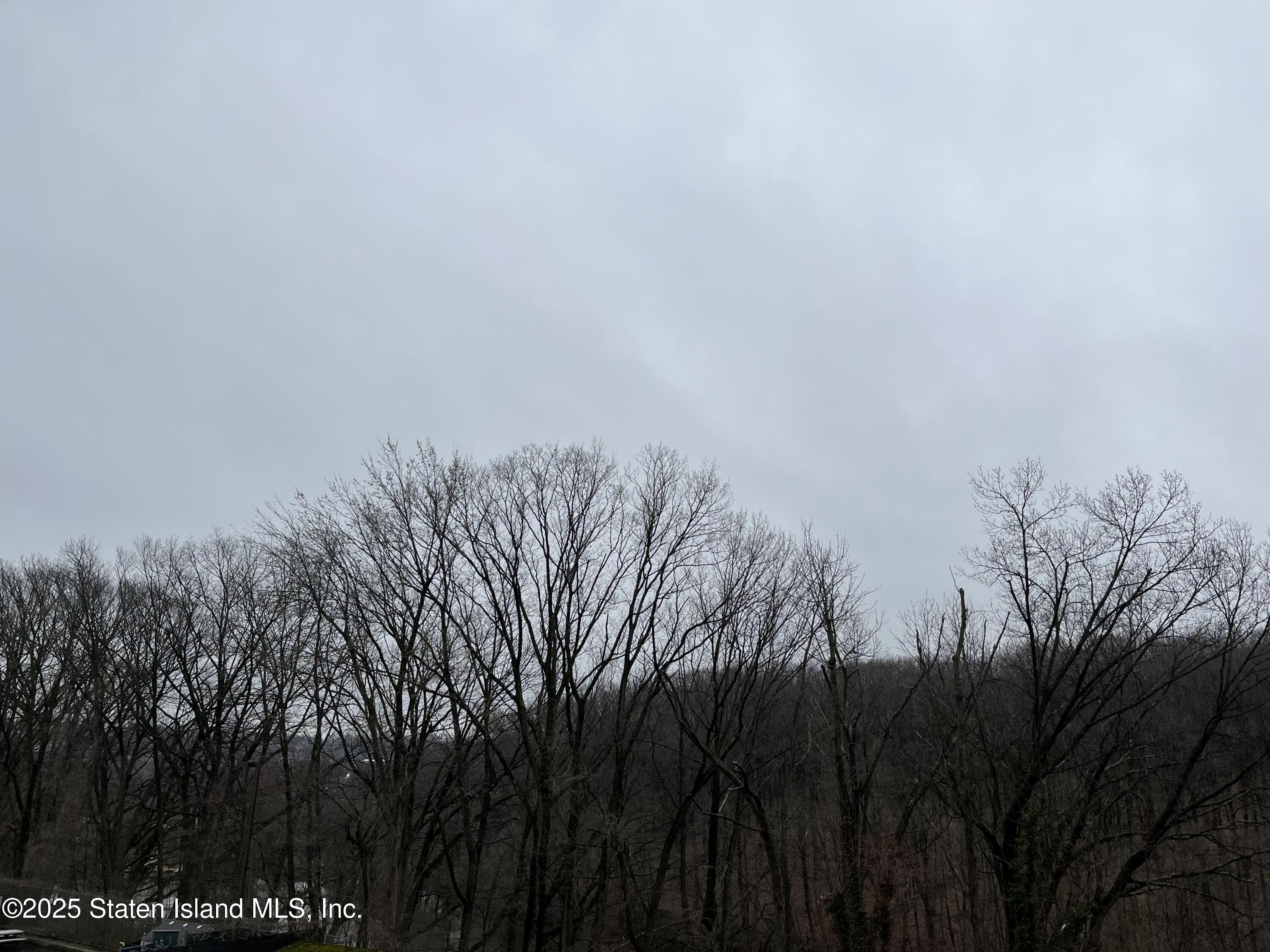 1000 Clove Road 2-O, Staten Island, NY, 10301 image 38