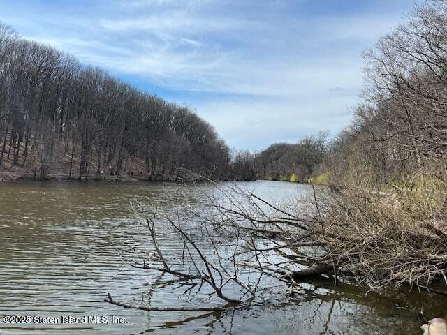 1000 Clove Road 2-O, Staten Island, NY, 10301 image 42