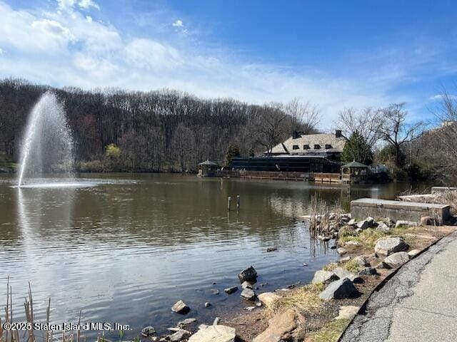 1000 Clove Road 2-O, Staten Island, NY, 10301 image 45