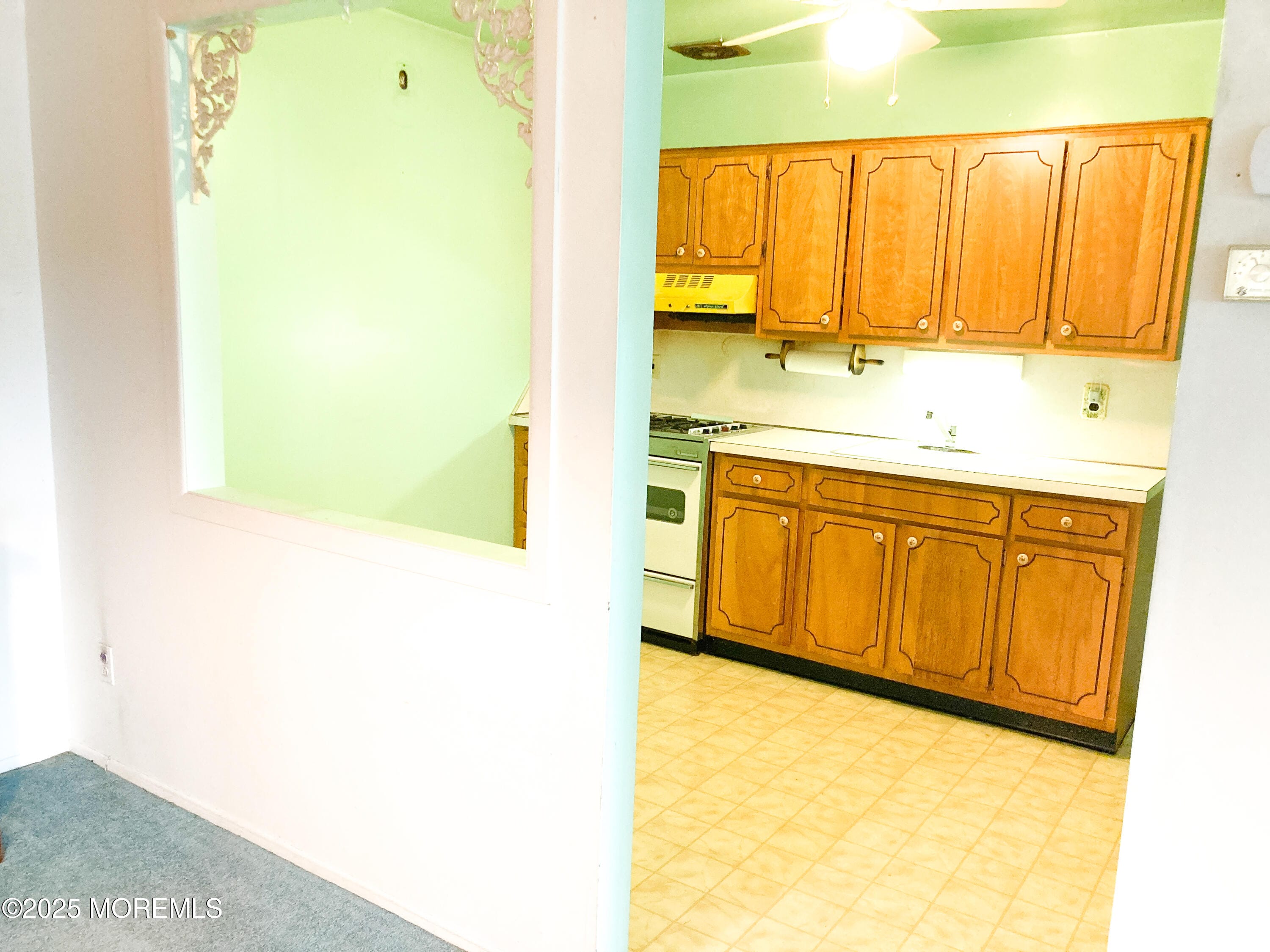 16A Lark Street A Image 5