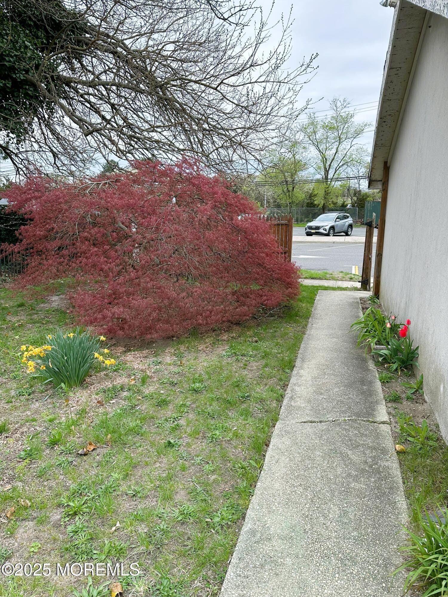 319 Main Street, Avon-by-the-sea, NJ, 07717 image 14