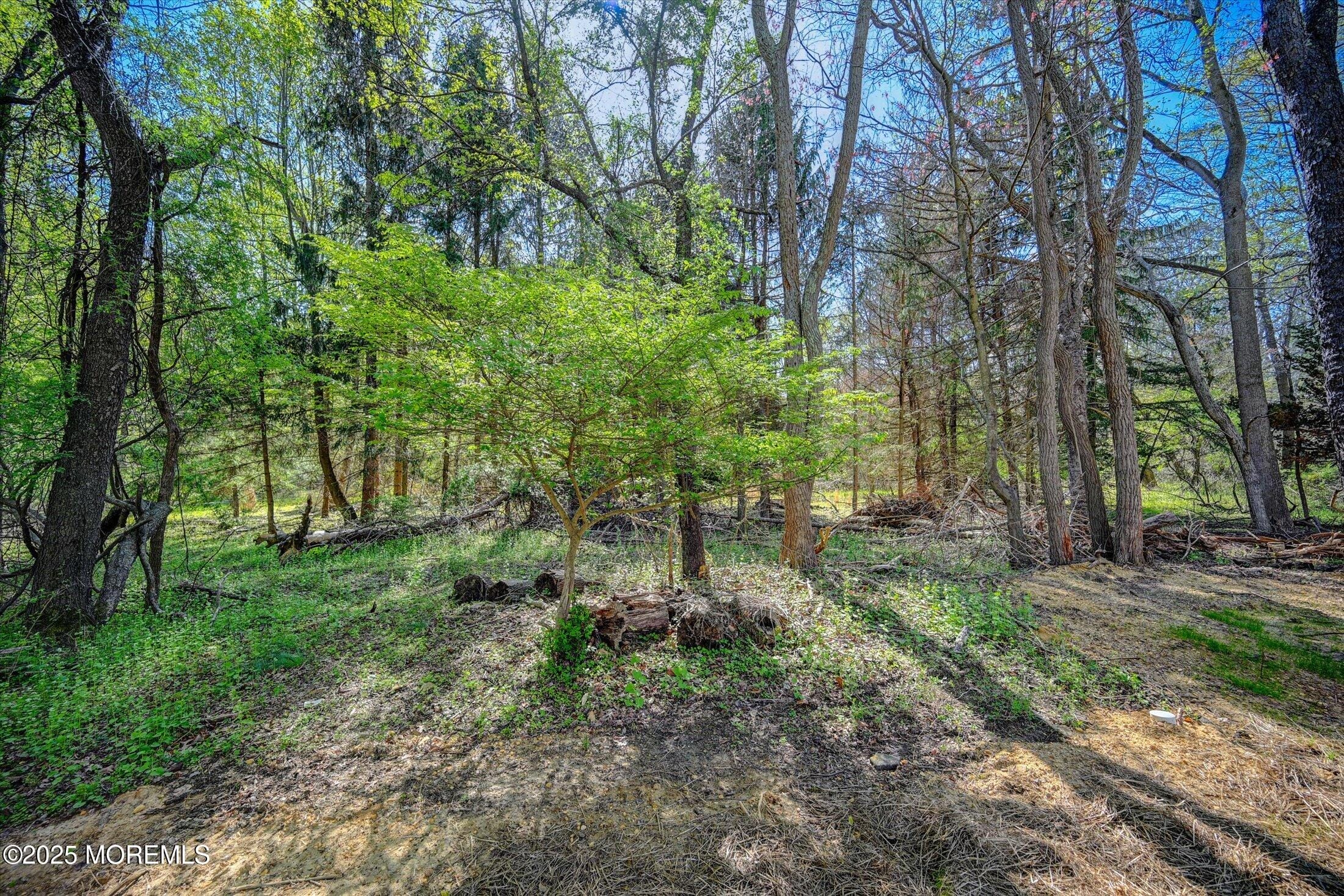 23 Bittner Road, Millstone, NJ, 08535 image 33