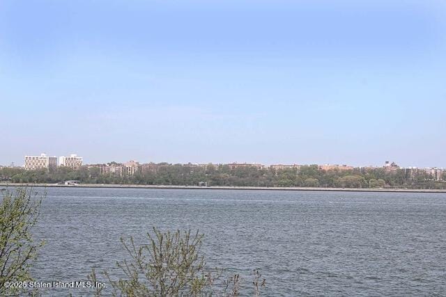 20 Cliff Street 6n, Staten Island, NY, 10305 image 38