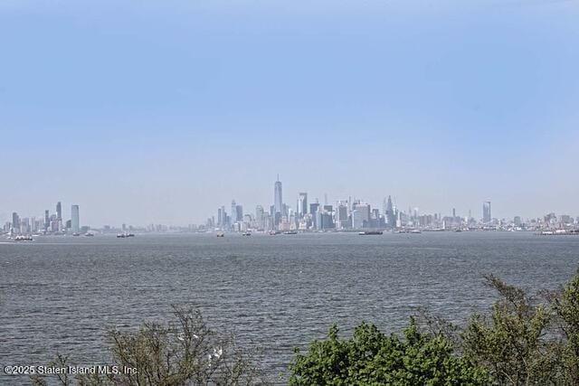 20 Cliff Street 6n, Staten Island, NY, 10305 image 41