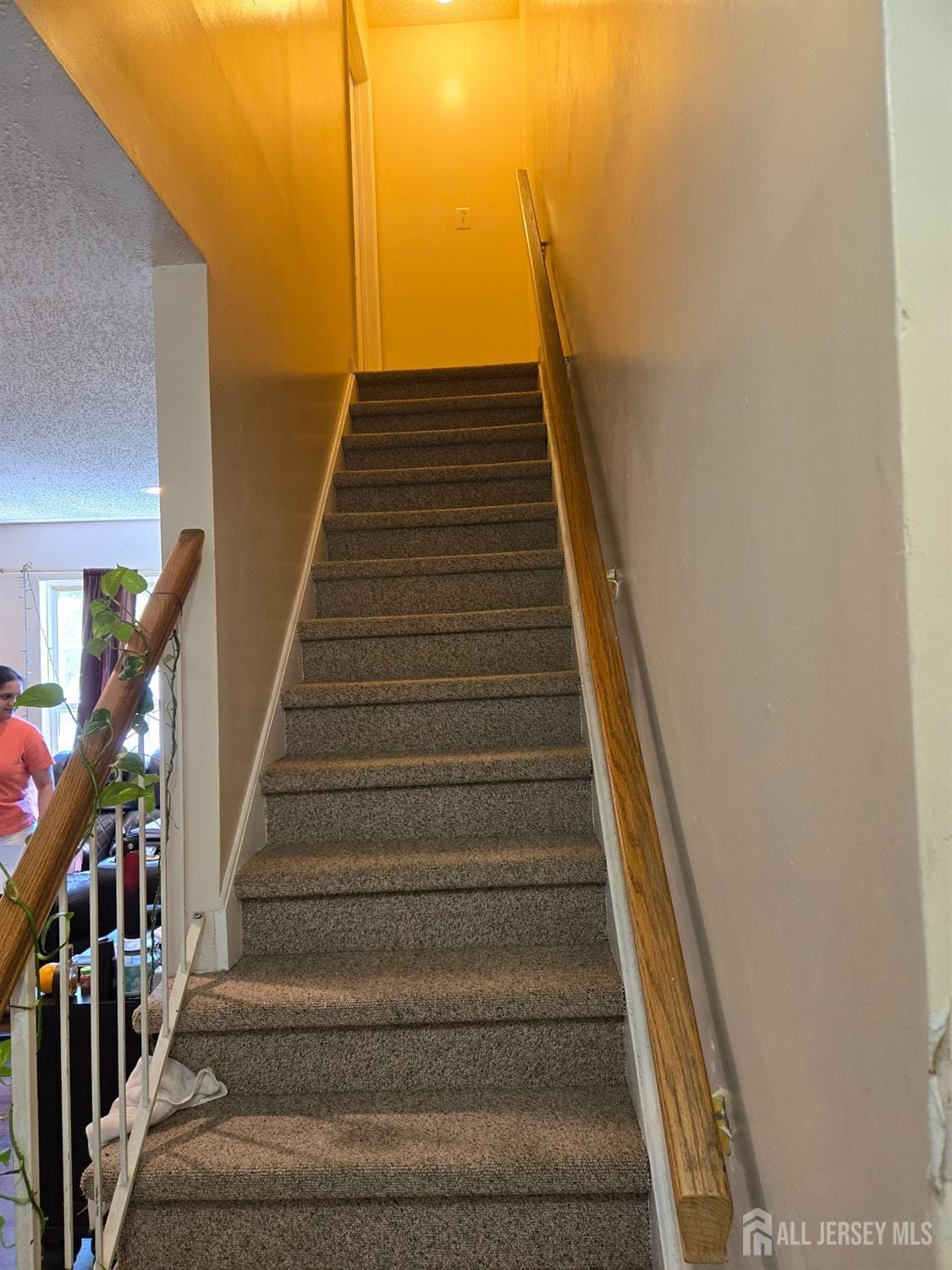 11 Newburgh Drive, Edison, NJ, 08820 image 6