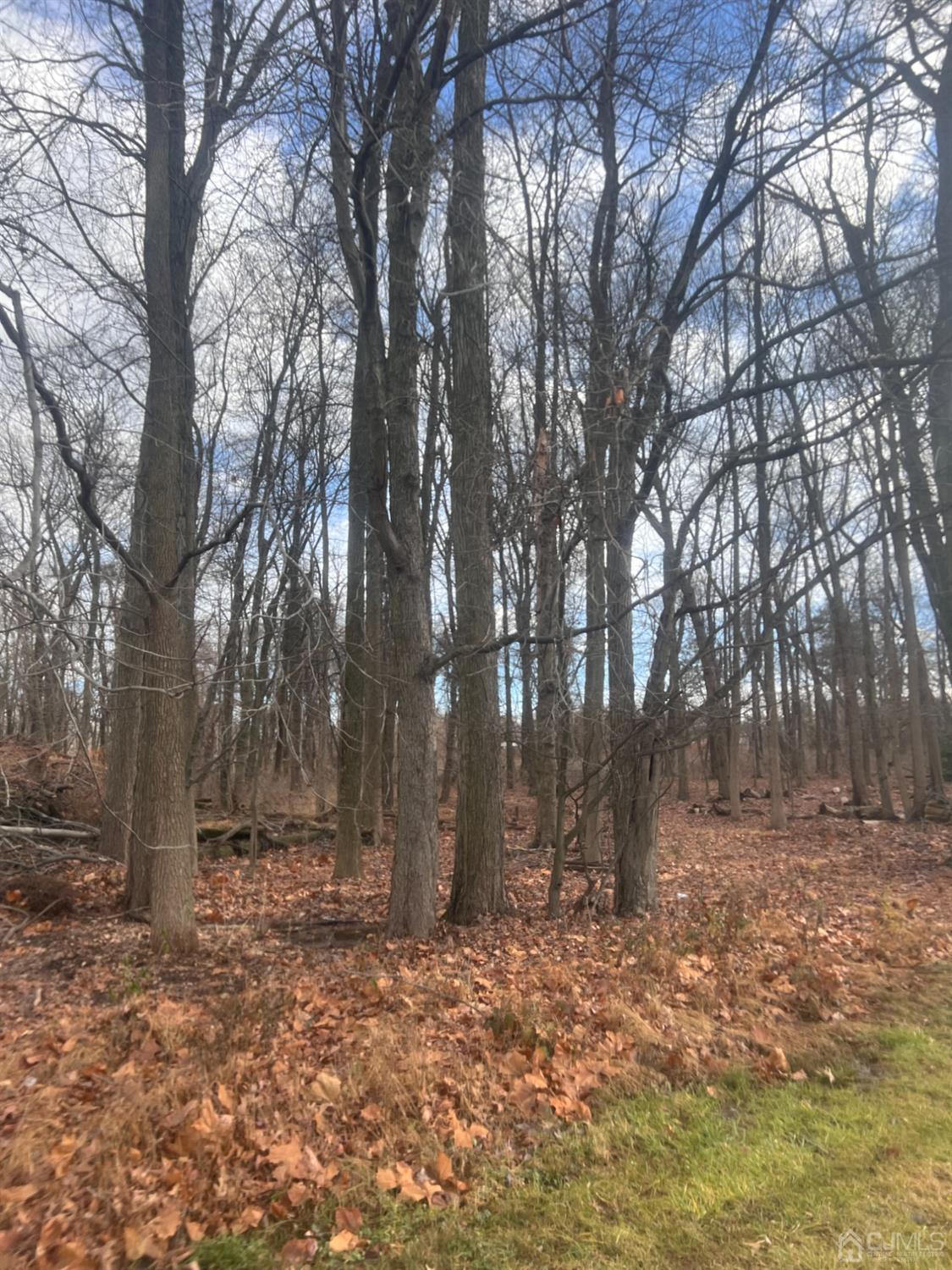 990-990 990 Inman Avenue Image 5