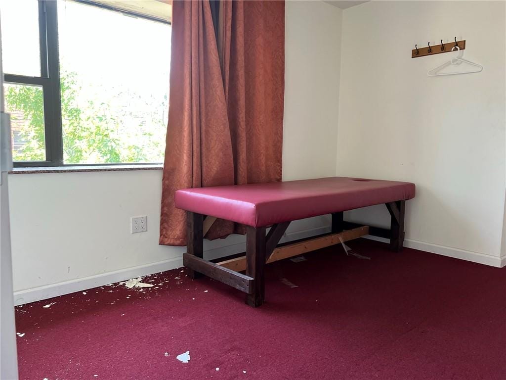 58-94 Grand Avenue, Queens, New York, 11378 image 18