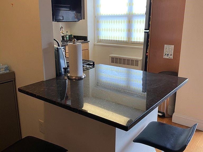 200 Cozine Avenue 9F, Brooklyn, New York, 11207 image 8