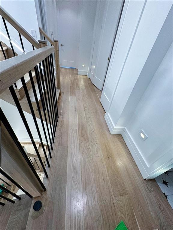 1718 63rd Street, Brooklyn, New York, 11204 image 33