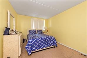 217 Eldert Street, Brooklyn, New York, 11207 image 10