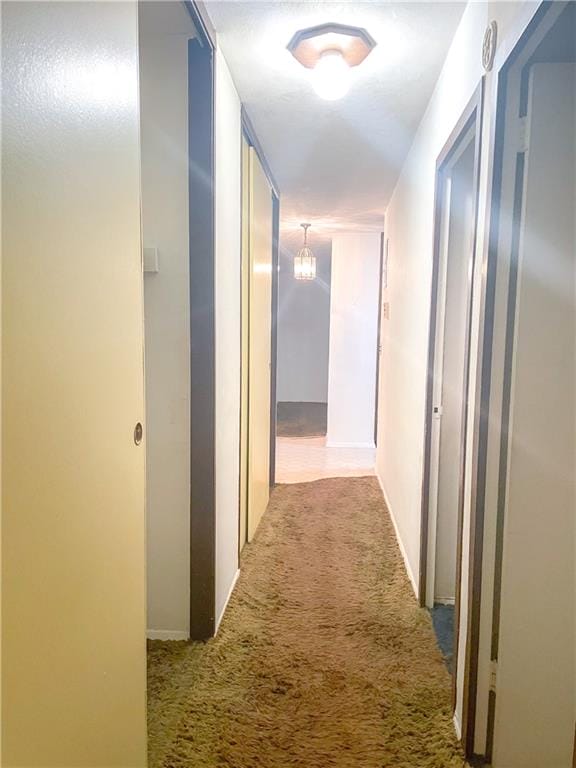 2483 West 16th Street 2J, Brooklyn, New York, 11214 image 10