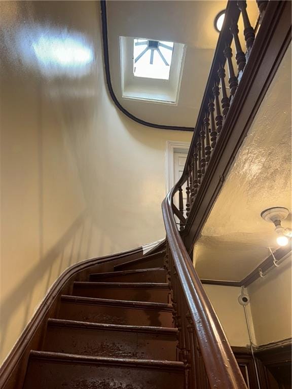 77 St. Marks Avenue, Brooklyn, New York, 11217 image 17