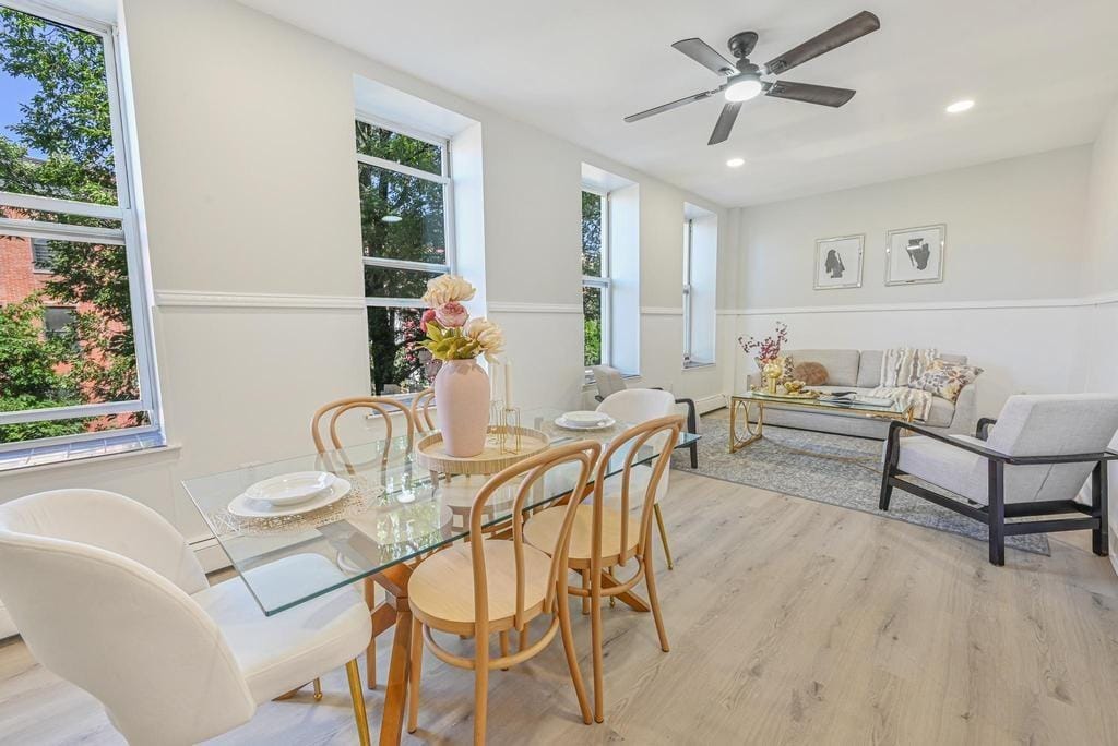 184 Hull Street C, Brooklyn, New York, 11233 image 6