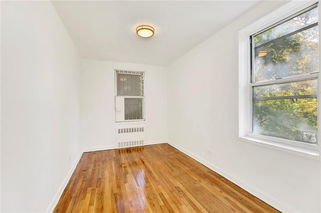 3510 Avenue H 2P, Brooklyn, New York, 11210 image 19