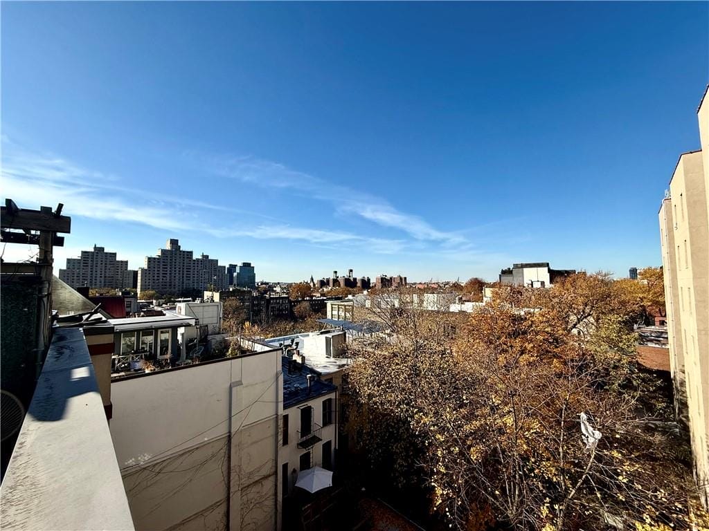 52 3rd Avenue 1A, Brooklyn, New York, 11217 image 15