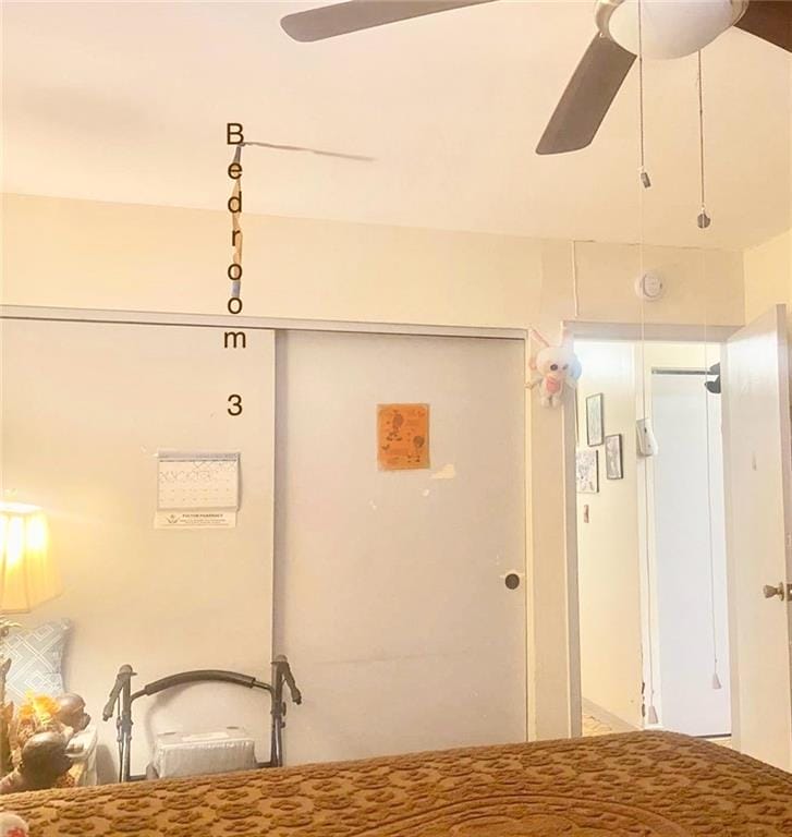 153 Hendrix Street, Brooklyn, New York, 11207 image 33