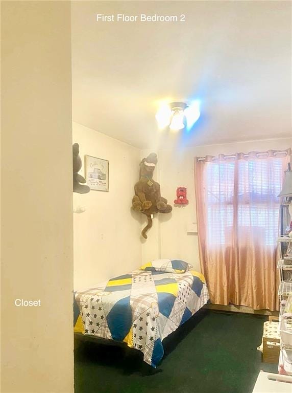 153 Hendrix Street, Brooklyn, New York, 11207 image 37