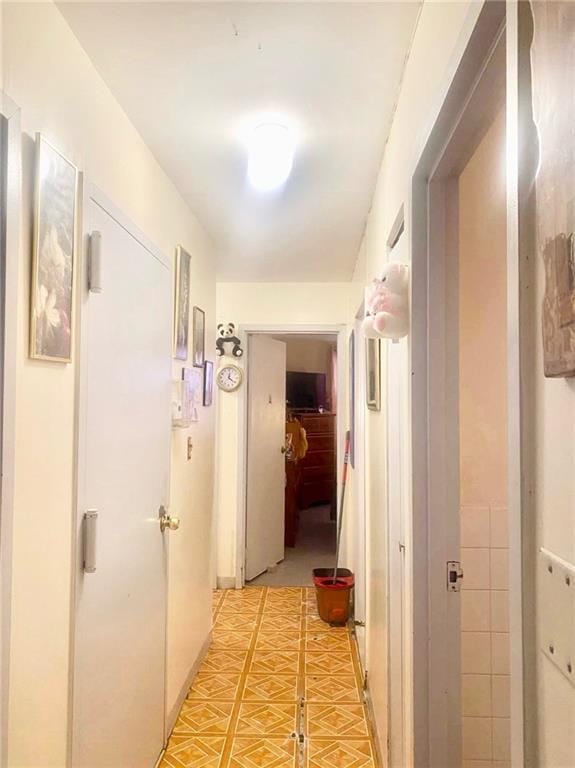 153 Hendrix Street, Brooklyn, New York, 11207 image 43