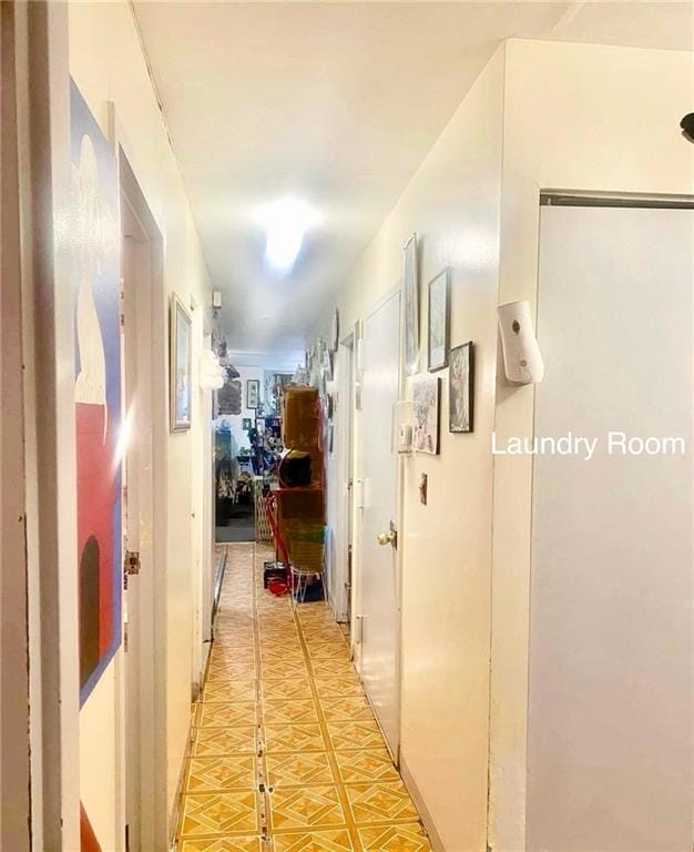 153 Hendrix Street, Brooklyn, New York, 11207 image 45