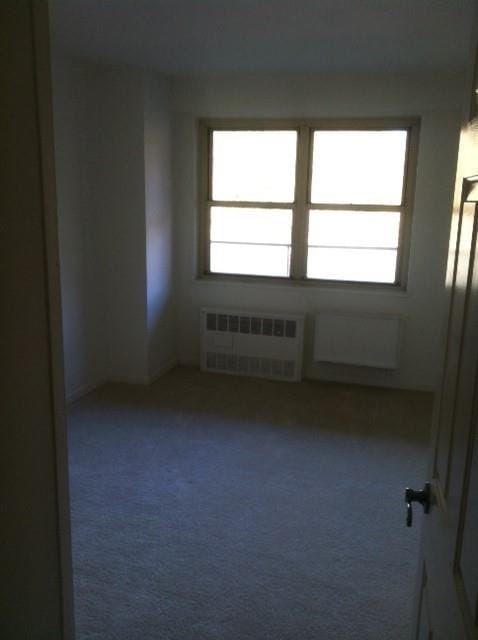 971 Jerome Street 5J, Brooklyn, New York, 11207 image 7