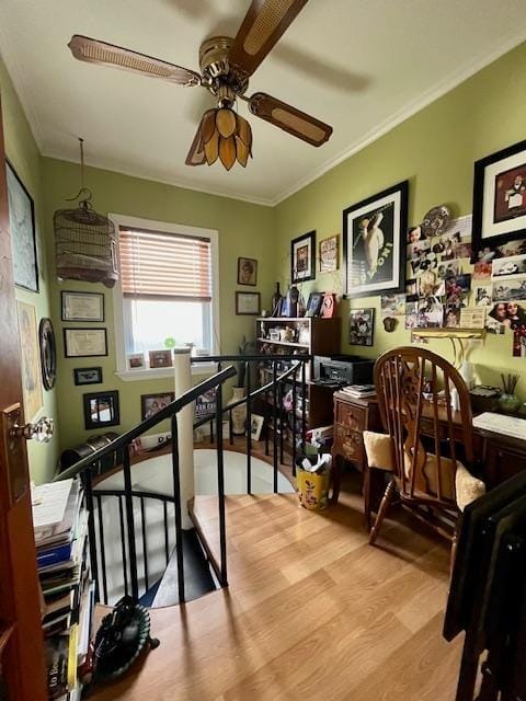 26 Ira Court, Brooklyn, New York, 11229 image 8