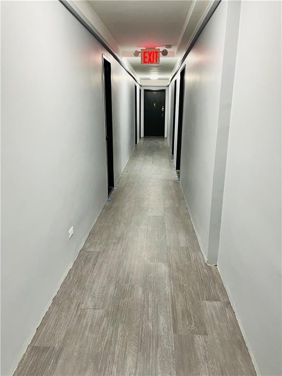 1270 East 51st Street 6H, Brooklyn, New York, 11234 image 12