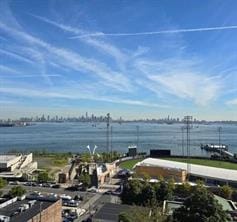 36 Hamilton Avenue 4S, Staten  Island, New York, 10301 image 8