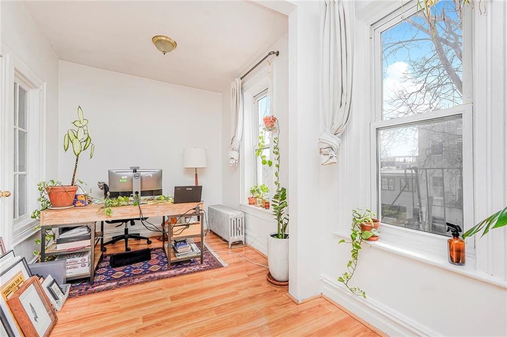 506 Prospect Avenue, Brooklyn, New York, 11215 image 9