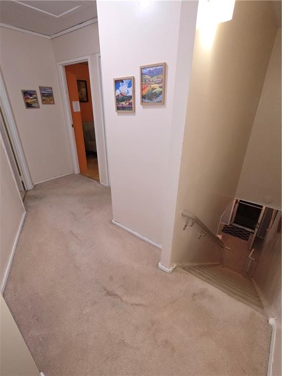 692 Sackman Street, Brooklyn, New York, 11212 image 15