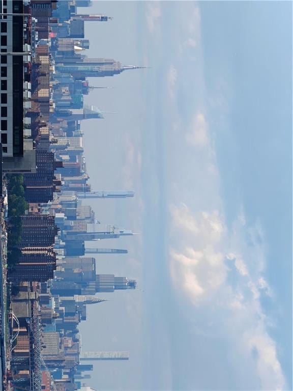 105 Ashland Place 10A, Brooklyn, New York, 11201 image 7