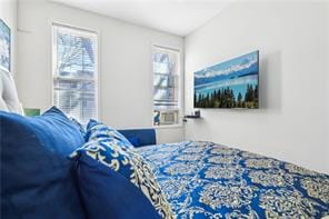 147 Weirfield Street, Brooklyn, New York, 11221 image 48