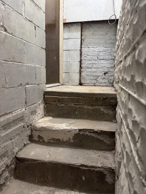 81 Dictum Court, Brooklyn, New York, 11229 image 15