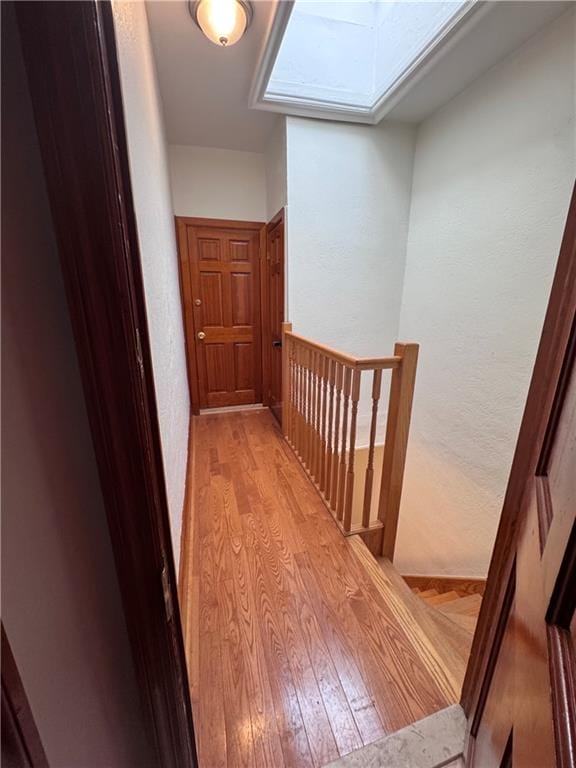 6819 Fort Hamilton Parkway 2, Brooklyn, New York, 11219 image 8