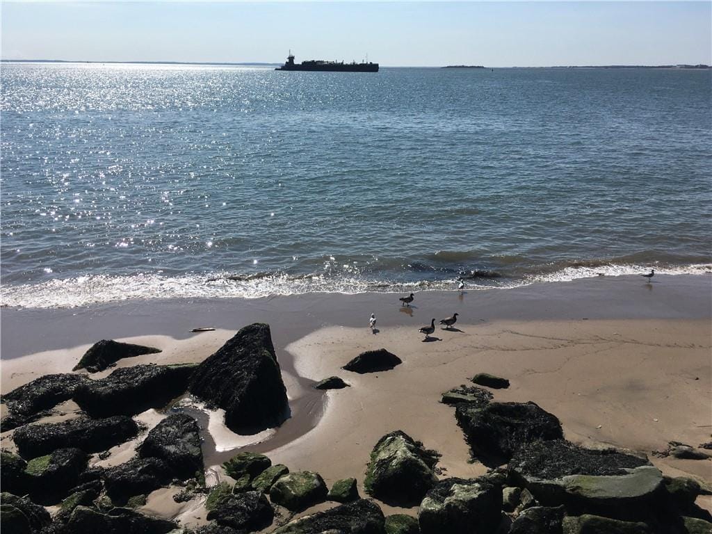 377 Bay 8th Street 1B, Brooklyn, New York, 11228 image 28