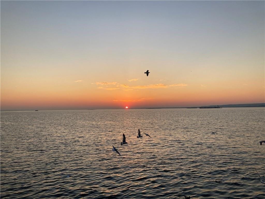 377 Bay 8th Street 1B, Brooklyn, New York, 11228 image 35