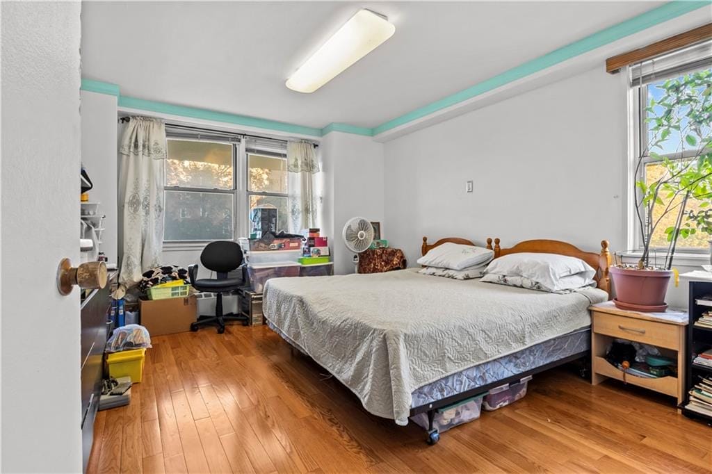 1655 Flatbush Avenue B204, Brooklyn, New York, 11210 image 9