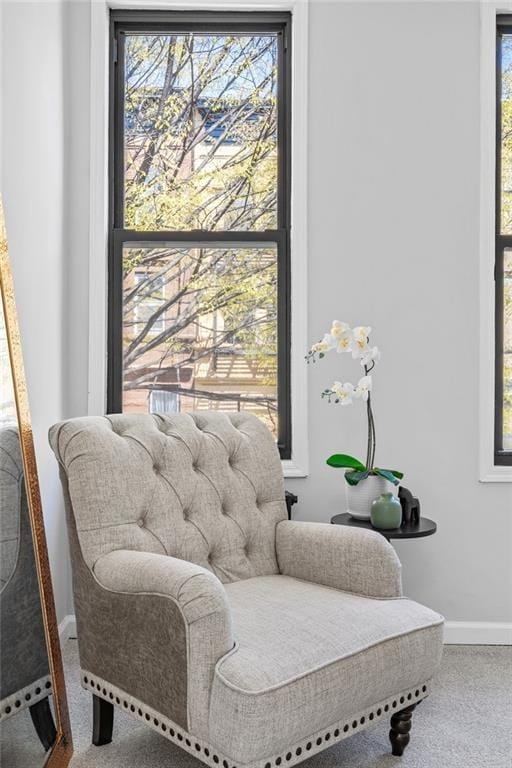 1588 Lincoln Place, Brooklyn, New York, 11233 image 6