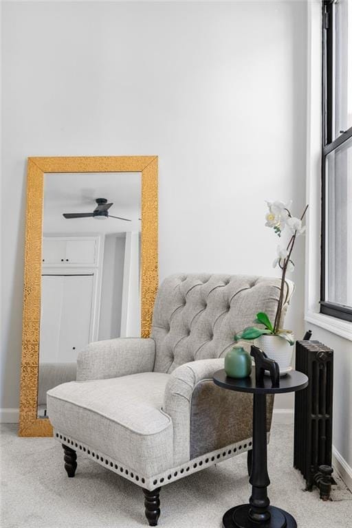 1588 Lincoln Place, Brooklyn, New York, 11233 image 7