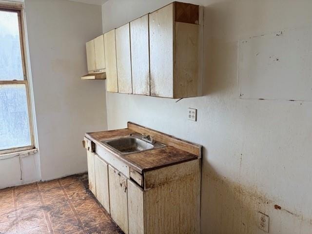 500 Van Buren Street, Brooklyn, New York, 11221 image 8